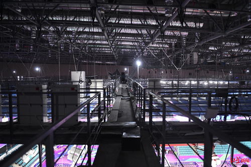 蓉耀汤尤杯 远程拍摄机器人开启奥运级赛事记录新篇章